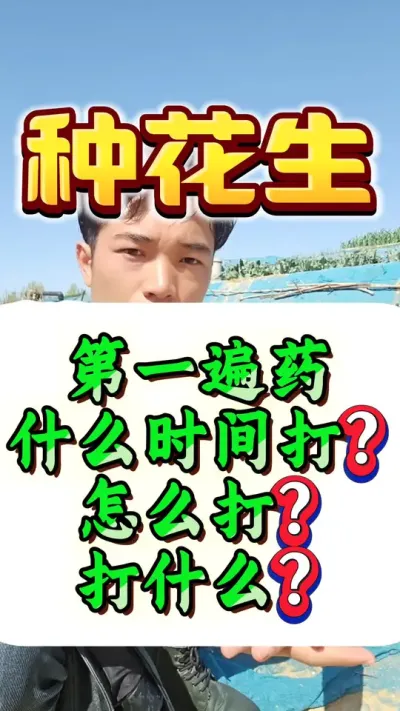 一定要看完，花生的第一遍药，什么时间打？怎么打？打什么？#花生种植 #花生高产 #花生种植管理技术 #种花生 #花生高产种植