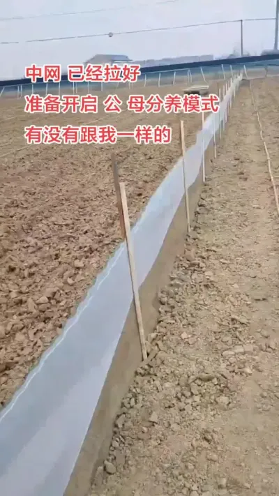 公蟹价格明年还能持续吗！#大闸蟹养殖 #螃蟹养殖 #大闸蟹#螃蟹#抖音助农