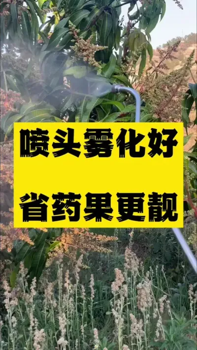 喷头雾化好，省药果更靓 #种植小技巧 #喷头 #日本进口喷头