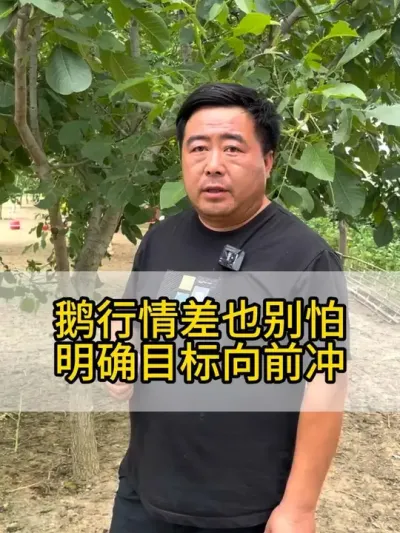 @老张养鸭鹅技术服务部 #每天分享养殖技术和经验 #鸡鸭鹅养殖 #抖音助农 #三农 #干货分享