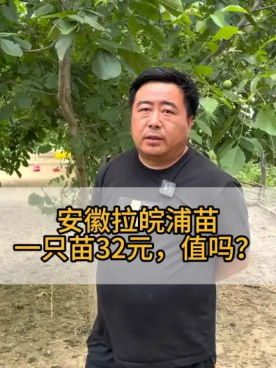 @老张养鸭鹅技术服务部 #服务三农支持三农 #养鹅人 #养殖技术交流