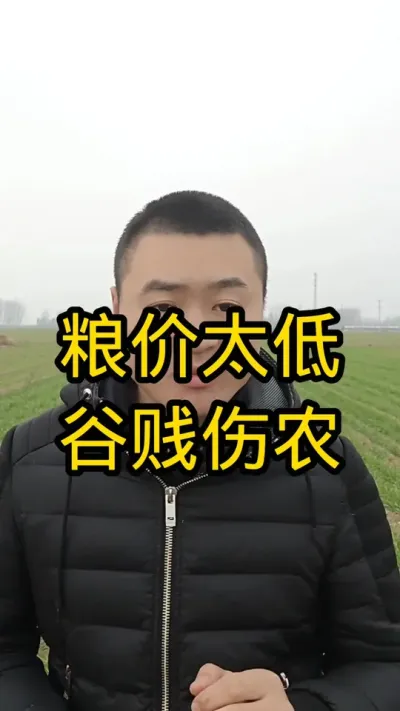 粮价该涨#粮价#粮食价格 #病虫害防治#抖音助农#分享农业知识帮农民增产增收 #分享农业知识帮农民增产增收