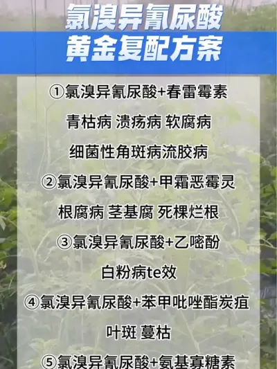 氯溴异氰尿酸复配方案#分享农业知识帮农民增产增收 #三农 #农业种植技术