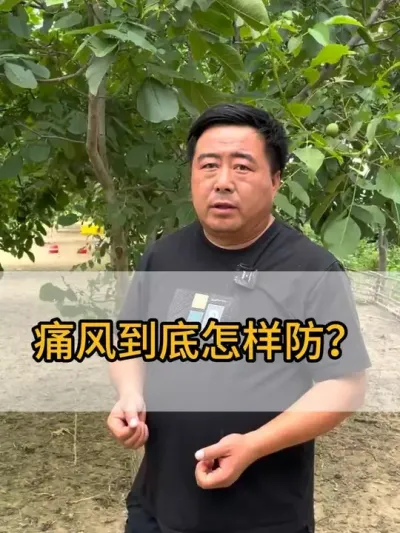 @老张养鸭鹅技术服务部 #三农 #抖音助农 #鸡鸭鹅养殖 #技术分享