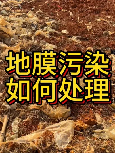 地膜用下去怎么收回来呢？#农业种植 #地膜 #新农人计划 #我与土地的故事 #生态农业