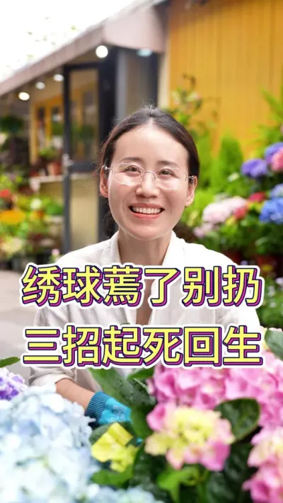 绣球蔫了别扔了，三招起死回生