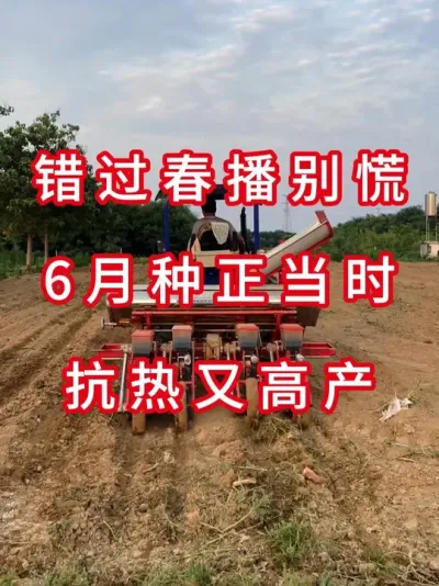 为啥聪明人6月才种大豆 #抖音助农 #农业植保知识分享 #大豆种植 #农业种植 #三农流量扶持计划