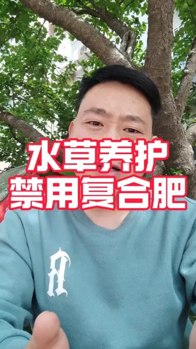 现阶段伊乐草养护禁用复合肥！#大闸蟹养殖#河蟹养殖#螃蟹养殖#大闸蟹#水产养殖