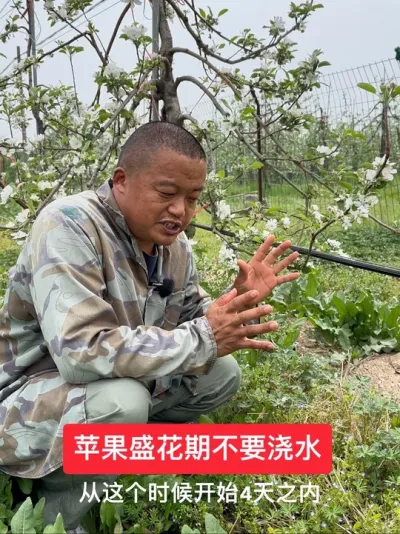 #新农人计划2025 #我的乡村生活 #果树种植管理 #病虫害防治 #果树修剪