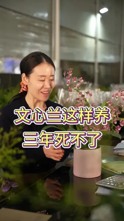 文心兰要怎么养才养得久 #年宵花 #花卉绿植 #花卉 #文心兰 #兰花
