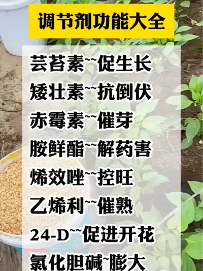 #分享农业知识帮农民增产增收 #每天分享种植农业小知识 #三农