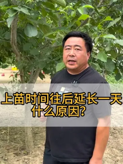@老张养鸭鹅技术服务部 #鸡鸭鹅养殖 #每天分享养殖技术和经验 #抖音助农 #服务三农支持三农 #干货分享