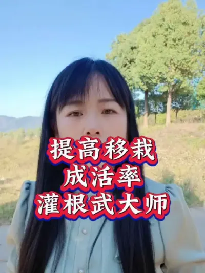 #服务三农支持三农 #茶树种植技术与管理 茶农朋友看过来