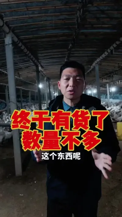 鱼干油终于有货了，数量不多，先到先得。#鹅苗 #狮头鹅 #养鹅 #科学养鹅 #养鹅技术