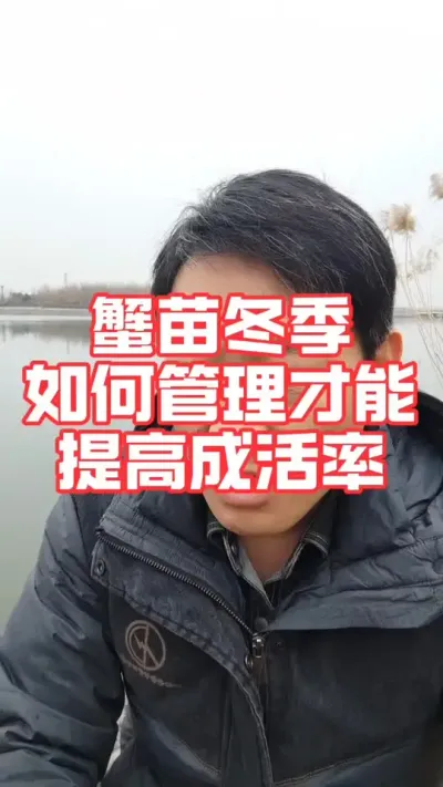 冬季蟹塘放苗后提高成活率方法分享！#螃蟹养殖 #大闸蟹养殖 #河蟹养殖 #螃蟹 #抖音助农