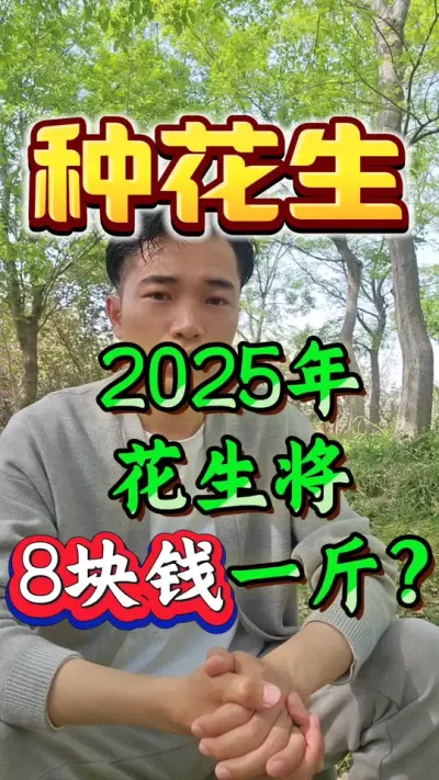 2025年花生将达到8块钱一斤？#花生种植 #花生高产 #种花生 #花生种植管理技术 #花生高产种植