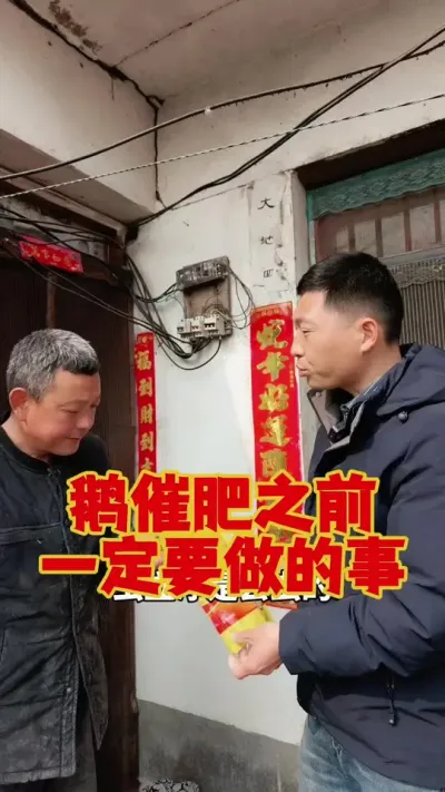 鹅在催肥之前，一定要做好这件事。#养鹅 #养鹅技术分享 #科学养鹅 #狮头鹅 #三农养殖