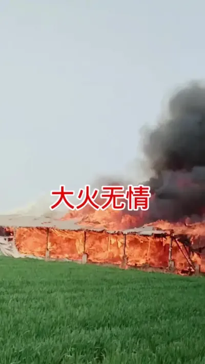 天干物燥，注重防火 #肉鸭养殖 #养鸭 #养鸭人 #养鸭人的心酸 #养殖不易也要从容应对