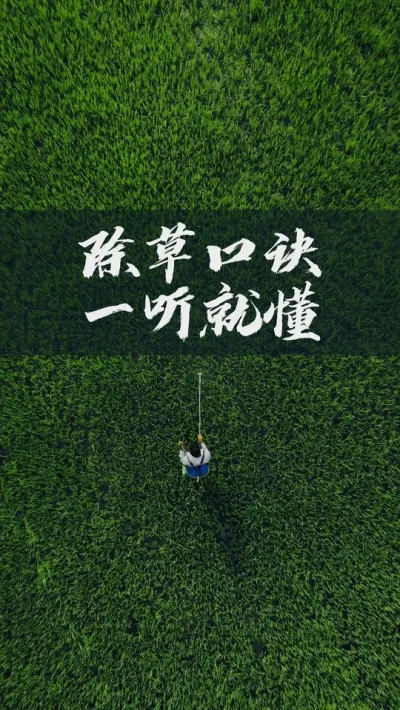 水稻种植，几句非常有用的&ldquo;除草口诀&rdquo;，一听就懂。 #农业 #农村 #农民 #三农 #水稻 #油菜 #小麦 #玉米 #种粮 #种地 #种田 #稻谷 #粮食 #种植 #农资 #农技 #春耕 #肥料 #化肥