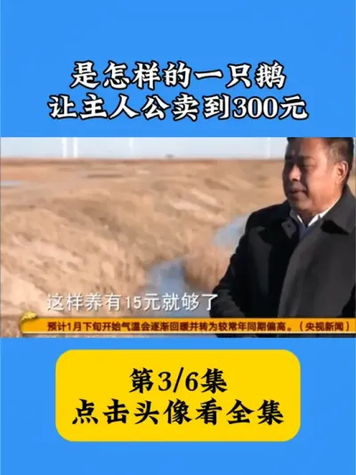 #鹅养殖 是怎样的一只鹅，让主人公卖到300元#大鹅 #带你看三农 #散养鹅的营养价值