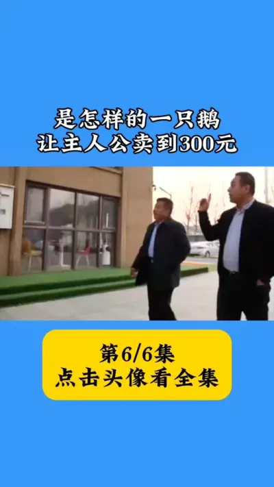 一只鹅卖300块！他究竟掌握了什么逆天养殖技术？ #狮头鹅苗批发 #三农养殖 #鹅厂新春种草计划 #上热门🔥