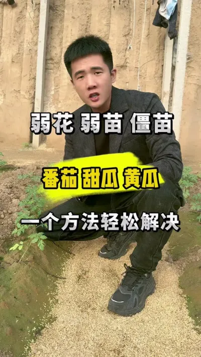 弱花，弱苗，弱根如何快速解决！ #关注我每天为你分享更多农业知识 #支持三农扶持三农发展 #传播农业小知识