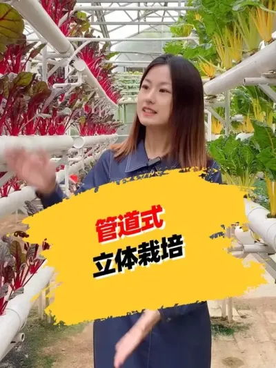 管道式立体栽培 