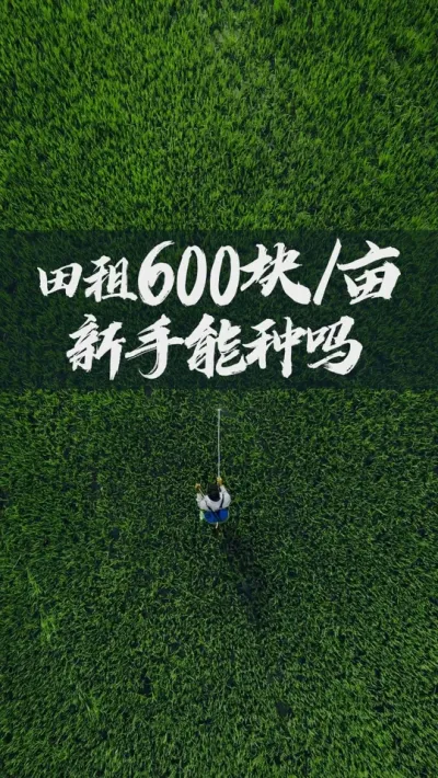 田租600块亩，新手能包着种吗？ #农业 #农村 #农民 #三农 #水稻 #油菜 #小麦 #玉米 #种粮 #种地 #种田 #稻谷 #粮食 #种植 #农资 #农技 #春耕 #肥料 #化肥 #新农人 #复
