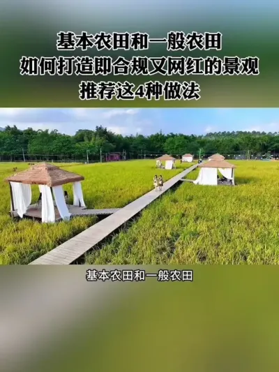 基本农田如何打造即合法又网红的景观？推荐这4种做法！#农场 #新农人 #休闲农业 #乡村振兴 #网红农场