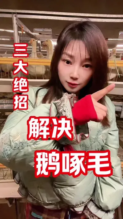 鹅为什么啄毛？三大绝招揭秘原因&hellip;&hellip;#养鹅人 #养鹅技术分享 #农村创业养殖