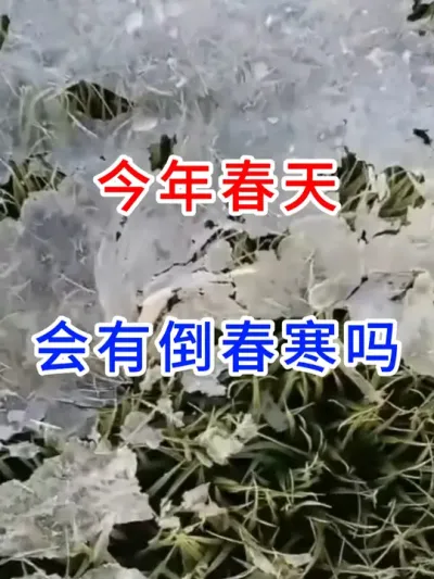 今年春天会有倒春寒吗？ #农业种植 #三农 #分享农业知识帮农民增产增收 #传播农业小知识 #农业天气