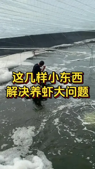 这几样小东西，解决养虾大问题#水产人 #养虾人 #南美白对虾 #嘉骏集团 #嘉骏新水产