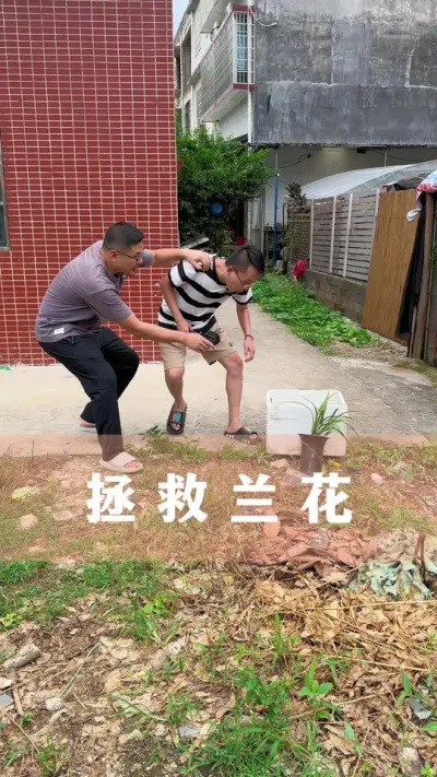 拯救兰花#兰花 #花卉绿植 #养花小知识 #分享养花经验