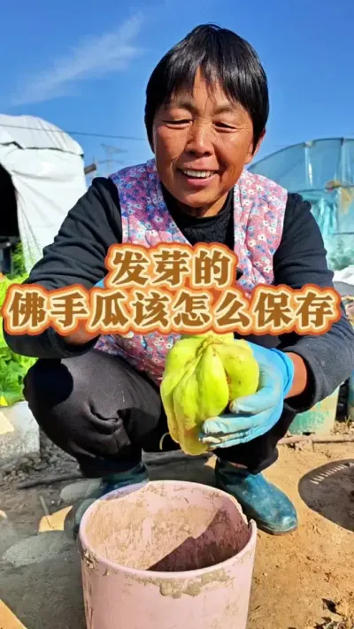 发芽的佛手瓜该怎样保存呢？#佛手瓜 #佛手瓜种植 #三农#关注我一起学种菜 #佛手怎么种植 @DOU+上热门 @DOU+小助手 @抖音创作小助手