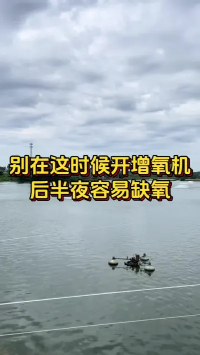 别在这时候开增氧机，后半夜容易缺氧#养虾人 #水产人 #小棚养虾 #嘉骏新水产 #嘉骏集团