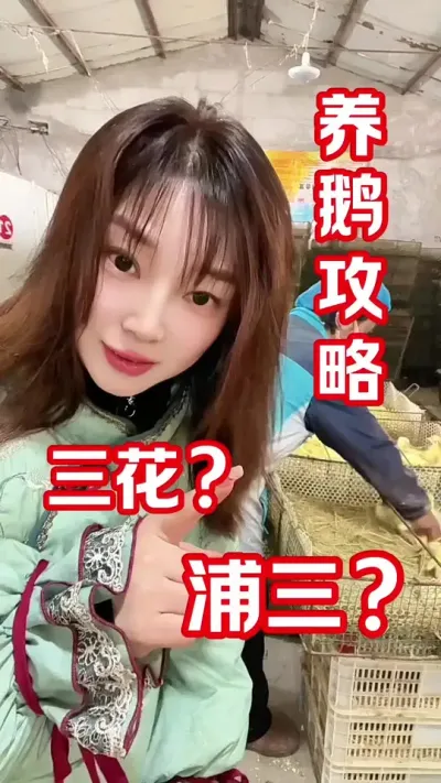 鹅苗是养鹅成败的基础#养鹅人#农村创业养殖 #养鹅