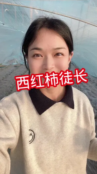 #西红柿种植 #记录我的种植生活 #大棚种植 点个关注 相互交流@抖音小助手