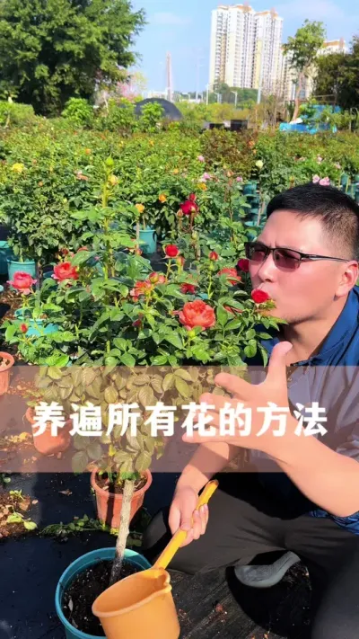 养遍所有花的方法#花卉绿植 #养花小知识 #分享养花经验 #爱生活爱养花