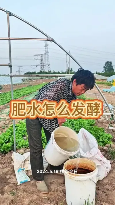 肥水怎么发酵，肥水发酵方法#肥水 #发酵肥水 #三农 #种植小技巧 #蔬菜杨大姐 @抖音创作小助手 @DOU+小助手 @DOU+上热门
