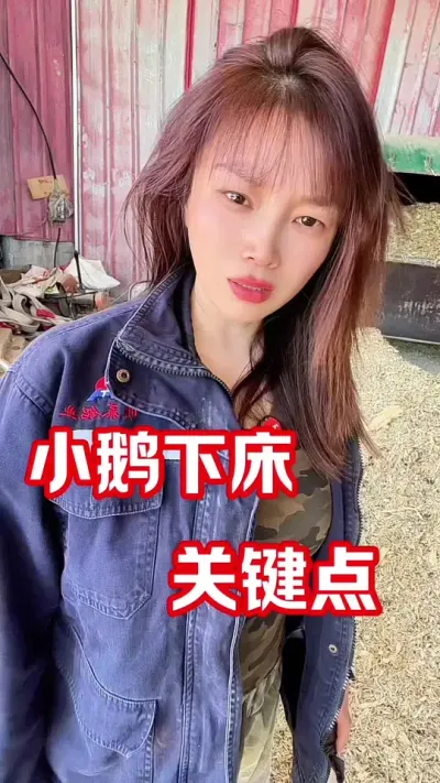 小鹅下床，注意啦#养鹅人 #农村创业养殖 #养鹅