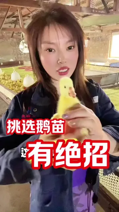 鹅苗好不好？先看这些&hellip;&hellip;#养鹅人 #养鹅技术分享 #每天分享养殖技术和经验 #鹅苗 #农村创业养殖