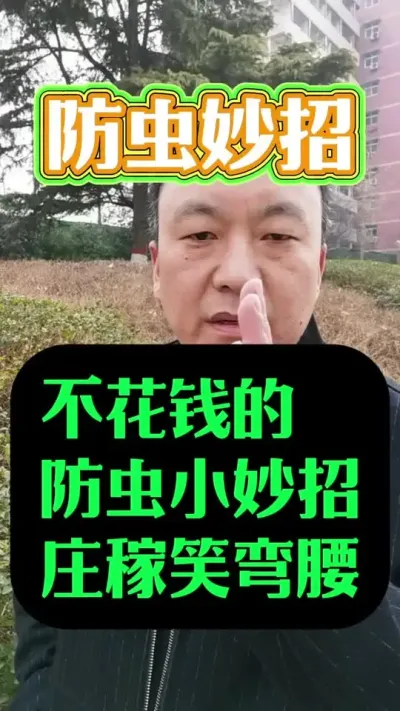用上这个不花钱的防虫小妙招，庄稼也能笑弯腰#防虫小妙招 #种菜防虫方法教学 #自制防虫小妙招效果好到爆