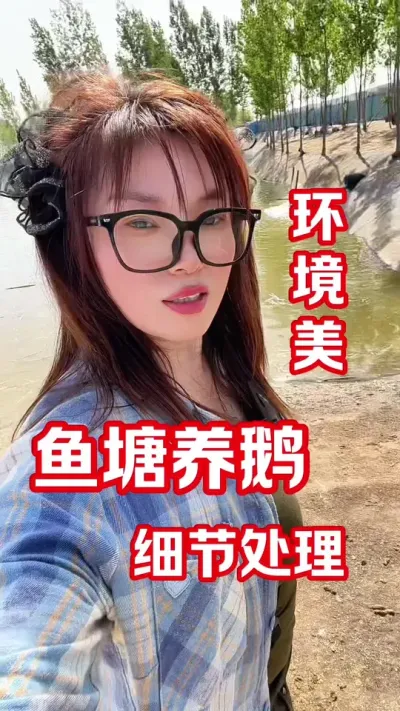 鱼塘养鹅：未来可期#养鹅人#养鹅#养鹅技术分享 #农村创业养殖