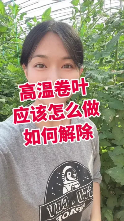 #西红柿种植#大棚西红柿#盖多多#番茄种植 点个关注 互相学习@抖音小助手