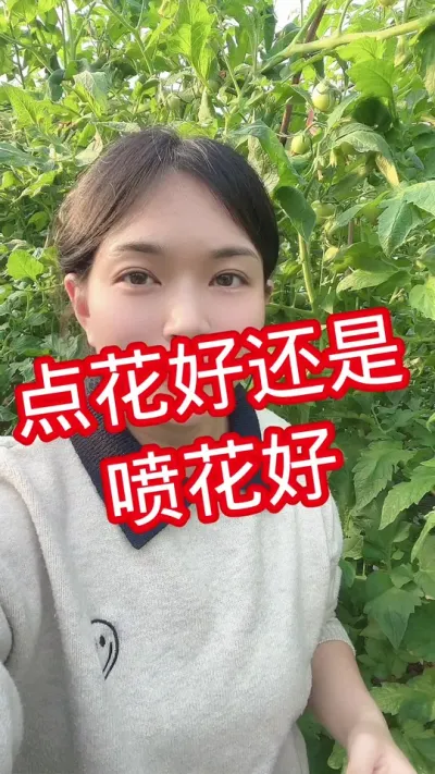 #西红柿种植 #记录我的种植生活 #大棚种植  点个关注 互相交流吧@抖音小助手