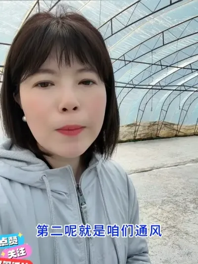 大棚现在湿气大，怎么办？ #水稻种植  #农业种植  #分享农业知识帮农民增产增收  #农业种植小技巧