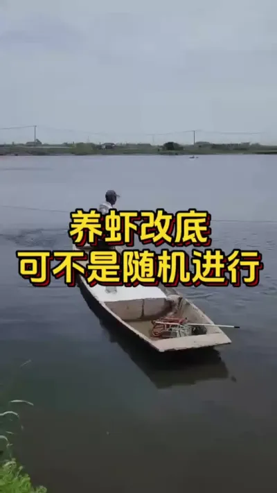 养虾改底可不是随机进行的#小棚养虾 #养虾人 #南美白对虾 #水产人 #嘉骏新水产