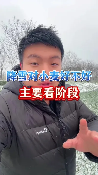 降雪对小麦好不好？主要看阶段！ #小麦种植 #传播农业小知识 #种植小技巧 #倒春寒