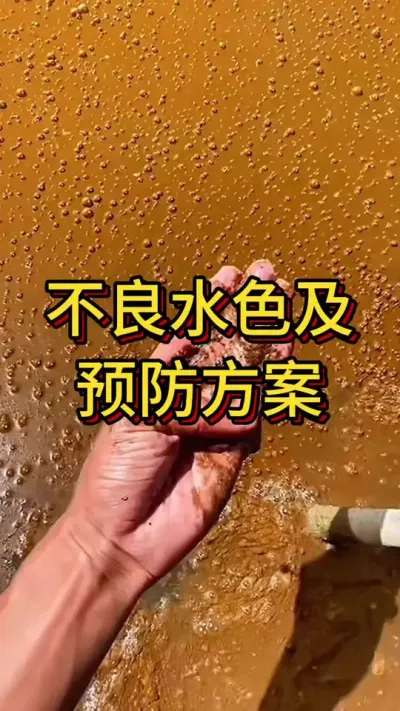 #嘉骏新水产#嘉骏集团#李新聊对虾#水产养殖技术#南美白对虾养殖