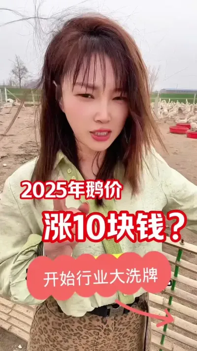 2025年鹅价多少钱？#农村创业养殖 #养鹅人 #鹅价